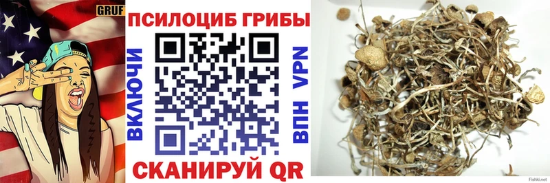 Псилоцибиновые грибы мухоморы мега ONION Короча